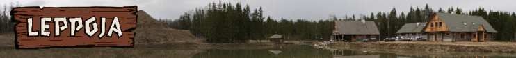 copy-leppoja-bänner